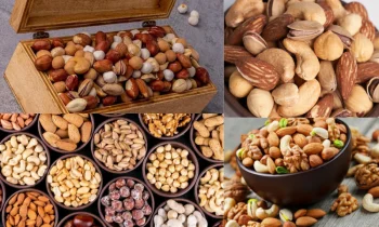 Turkish Nuts’un Taze Olduğu Nasıl Anlaşılır?